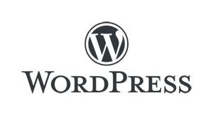 wordpress cms